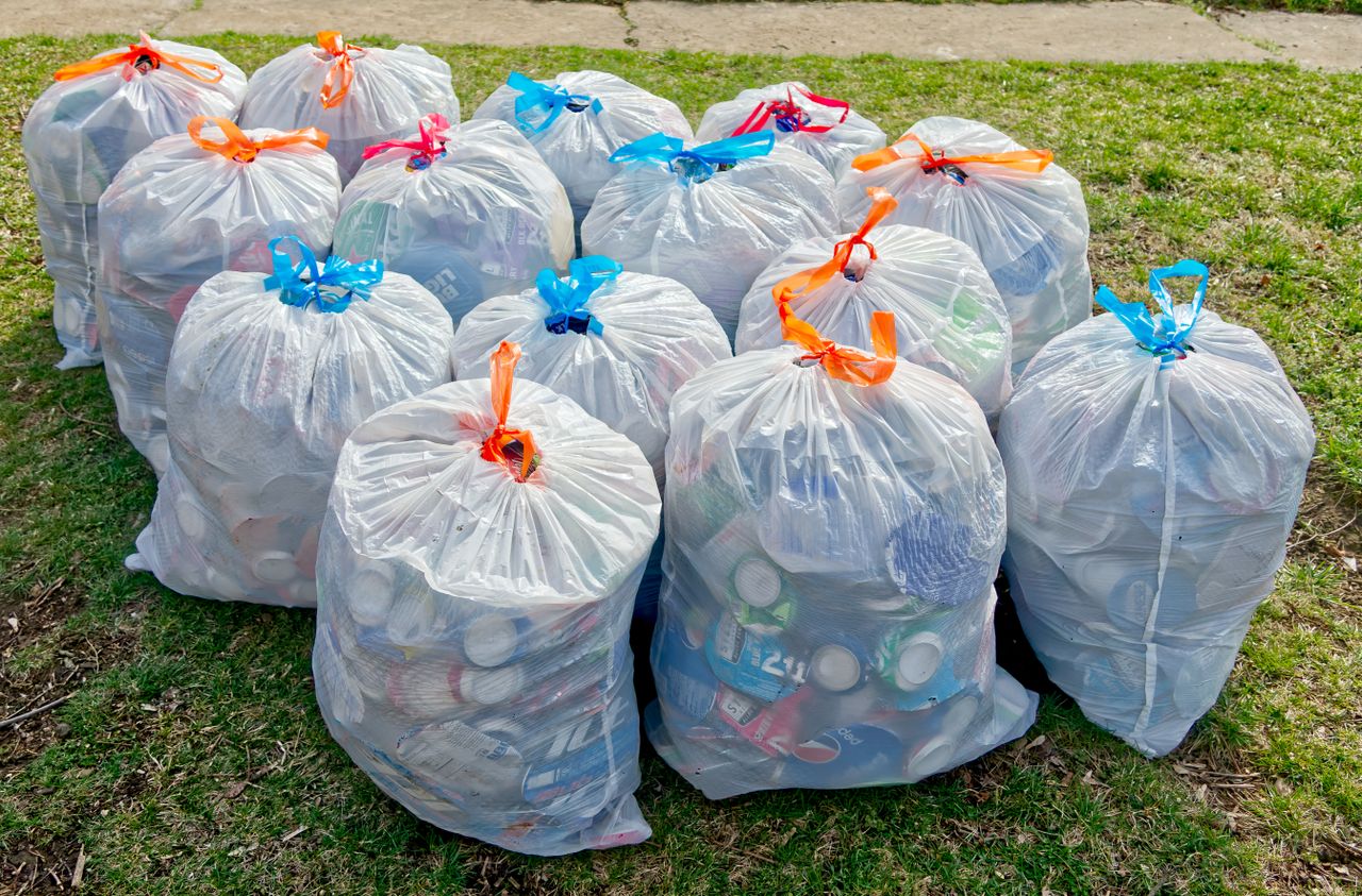 Mastering the First Impression: Your intriguing post title goes here Plastic trash bags filled with recyclable materials on grass, raising recycling awareness.